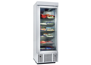 Vitrina frigorifica verticala FRENOX, cu 1 usa din sticla, 650 lt