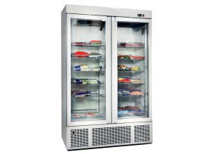 Vitrina frigorifica verticala FRENOX, cu 2 usi din sticla, 1300 lt