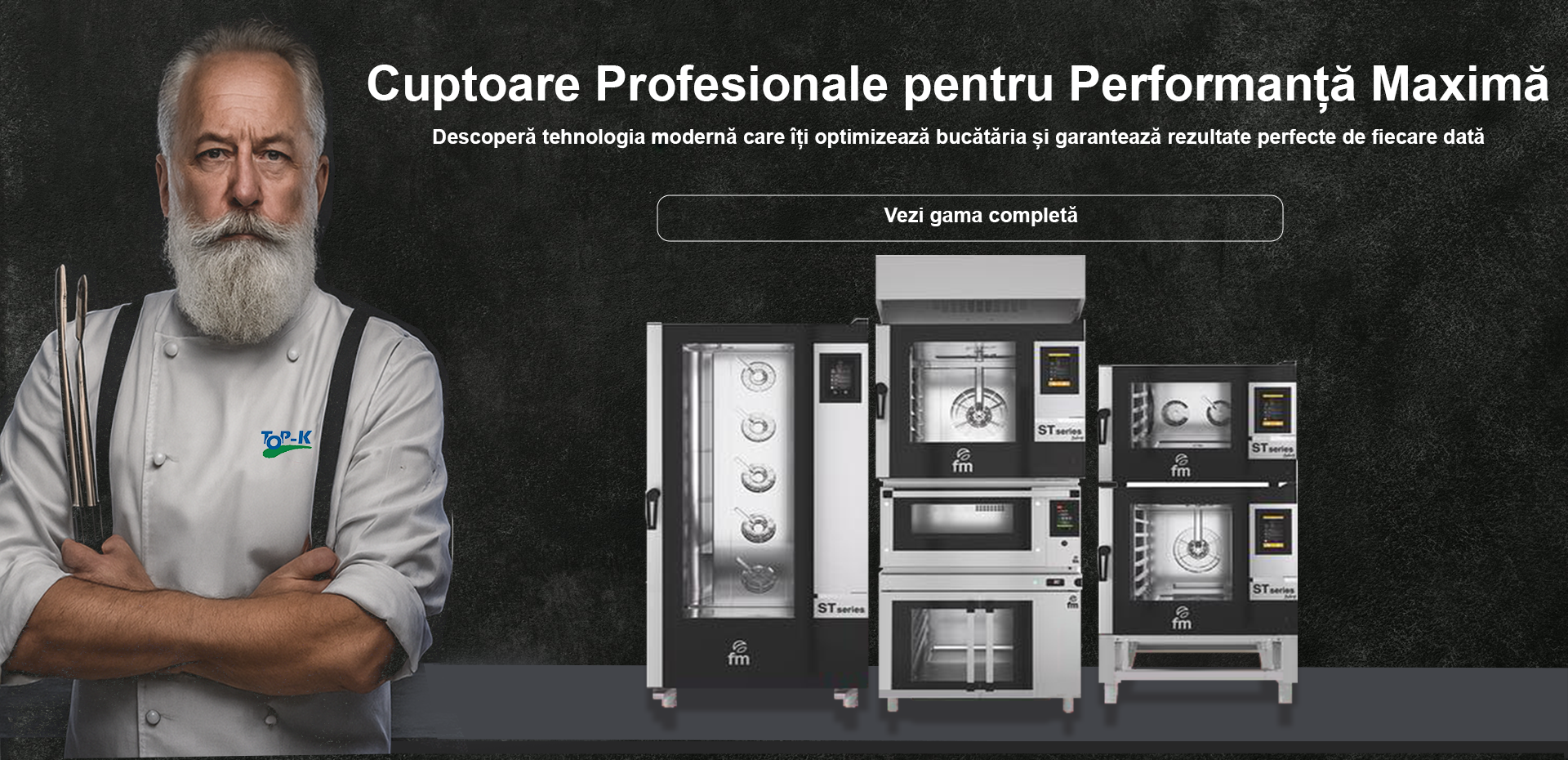 cuptoare-profesionale